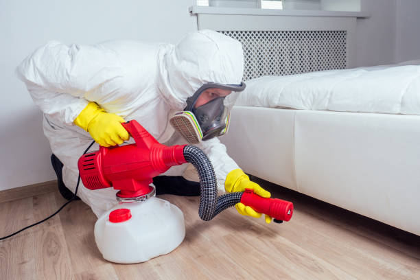 Flea Control Services in Vero Beach, FL